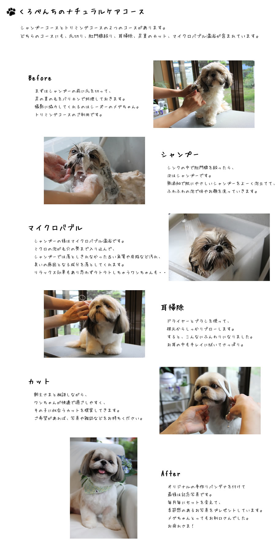 くろべんちのナチュラルケアコース　シャンプーコースとトリミングコースの２つのコースがあります。
どちらのコースにも、爪切り、肛門腺絞り、耳掃除、足裏のカット、マイクロバブル温浴が含まれています。
当店を初めてご利用されるワンちゃんは初回３０％OFFの割引があります。