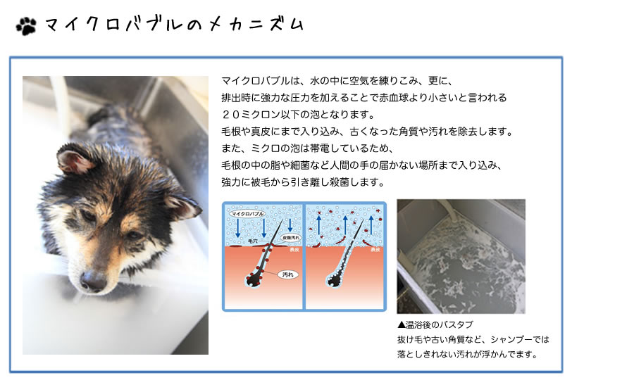マイクロバブルのメカニズム